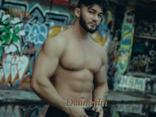 Donmerlin