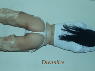Dreaniice