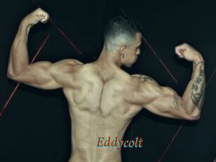 Eddycolt