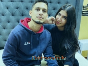 Elektraandmike