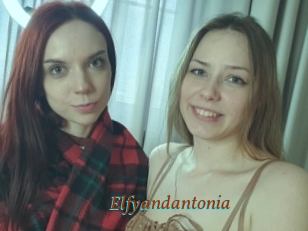 Elfyandantonia