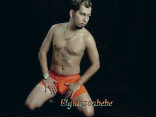 Elguazonbebe