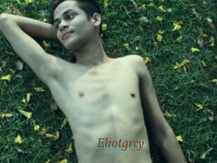 Eliotgrey