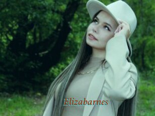 Elizabarnes