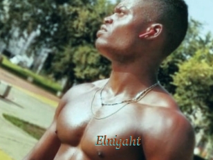 Elnigaht