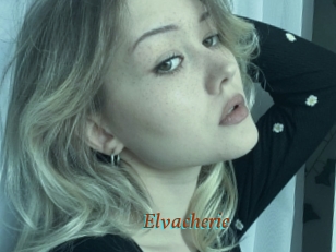 Elvacherie