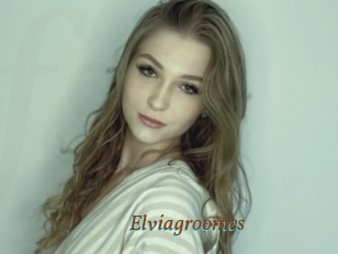 Elviagroomes