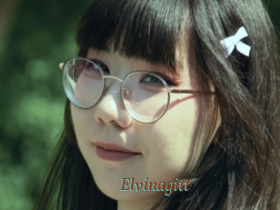 Elvinagitt