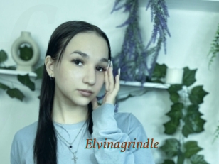 Elvinagrindle