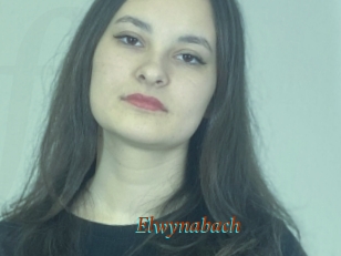 Elwynabach