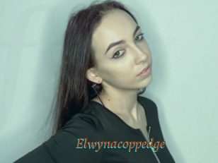 Elwynacoppedge