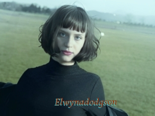 Elwynadodgson