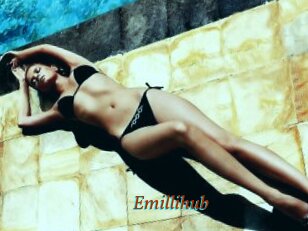 Emillihub