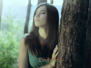 Emilyflow