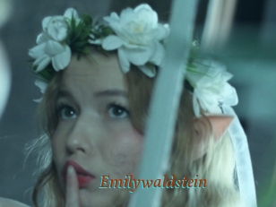 Emilywaldstein