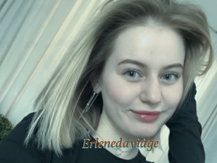 Erlenedavidge