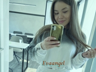 Evaangel