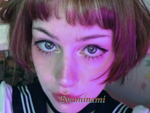 Evaminami