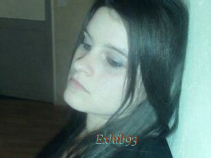 Exhib93