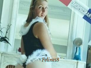 Feline18