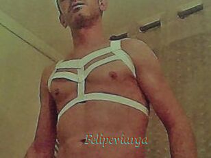 Felipeviarga
