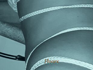 Floorx
