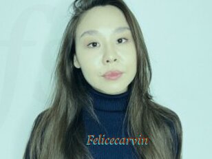Felicecarvin