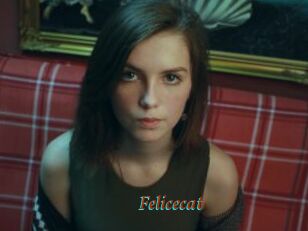 Felicecat