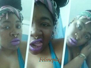 Felineplay