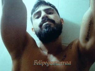 Felipegamarraa