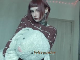 Felixwinter