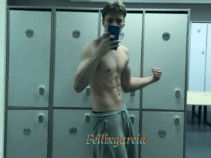 Fellixgarcia