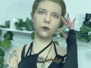 Flairfudge