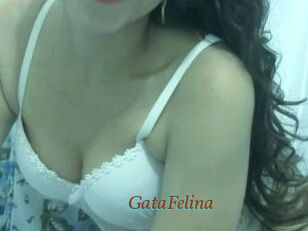GataFelina