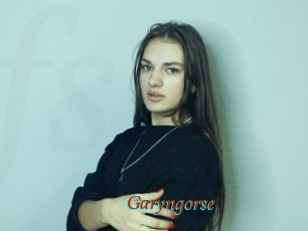 Garyngorse
