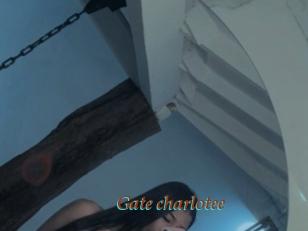 Gate_charlotee