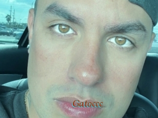 Gatoccc