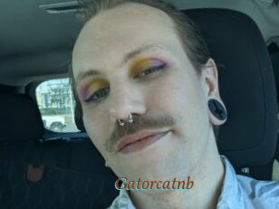 Gatorcatnb
