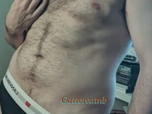 Gattorcatnb