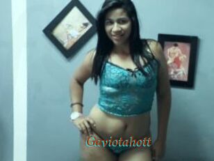 Gaviotahott