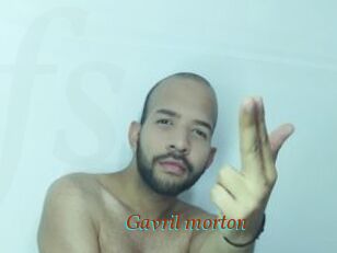 Gavril_morton