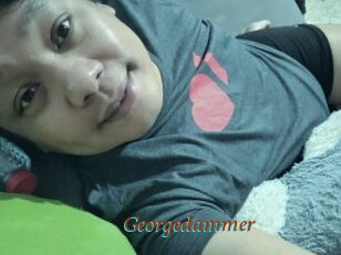 Georgedammer
