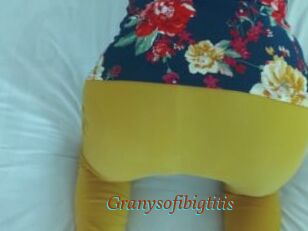 Granysofibigtitis
