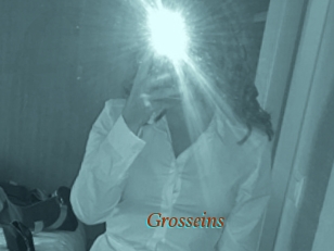 Grosseins
