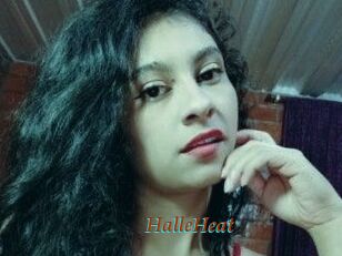 HalleHeat