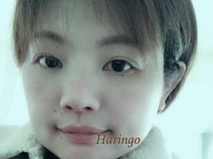 Haringo