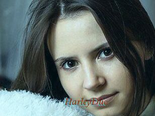 Harley_Due