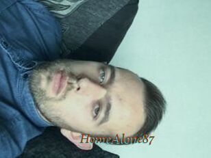 HomeAlone87