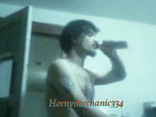 Hornymechanic334