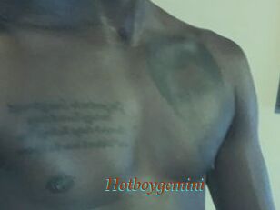 Hotboygemini